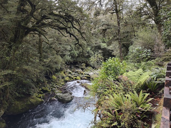 Marian Falls 5