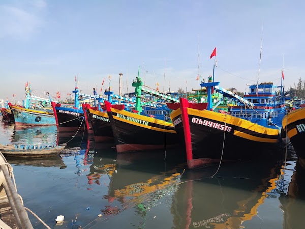Phu Quy 3