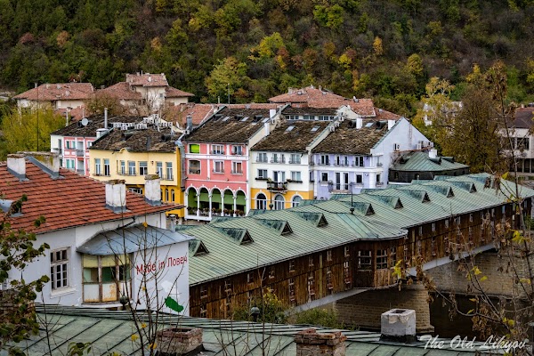 Lovech 2