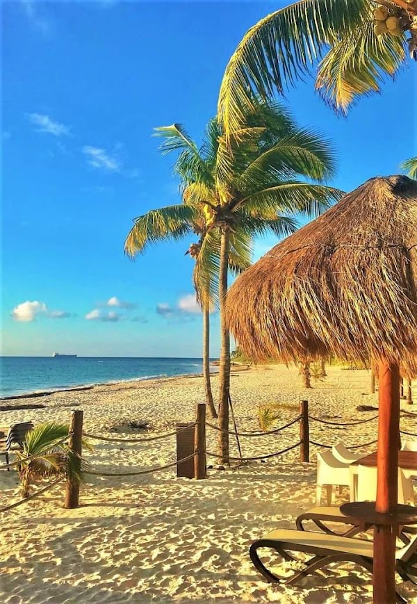 Mexico 5