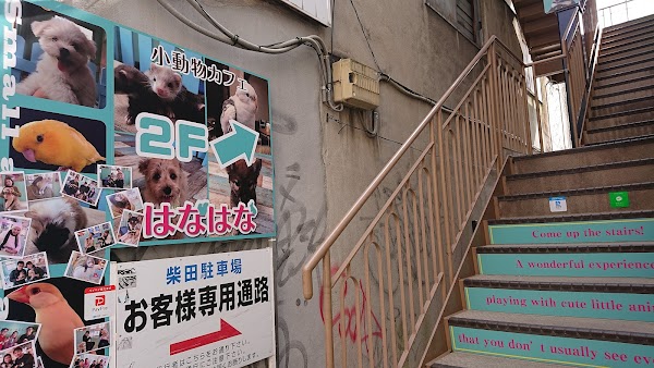 Hana Hana Small Animals Pet Cafe