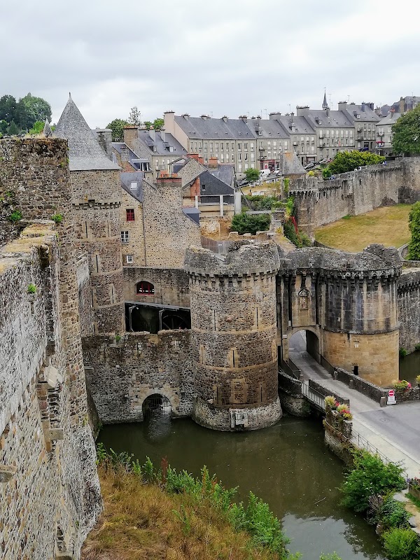 Fougères 3