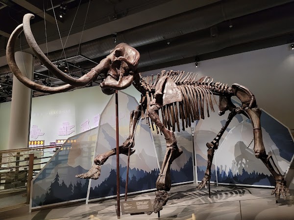 Hong Kong Science Museum 5