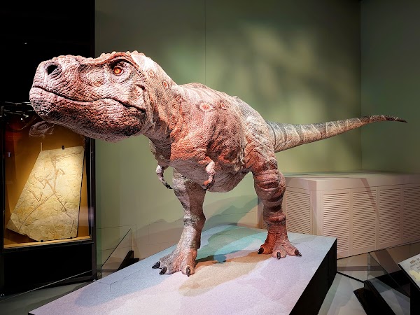 Hong Kong Science Museum 3