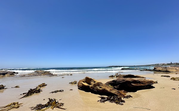 Blackwoods Beach 5