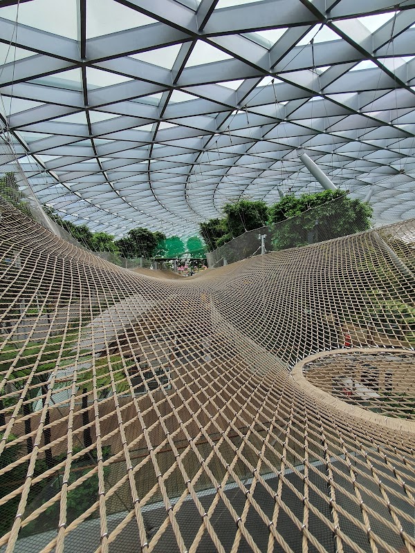 Canopy Park - Jewel Changi 1