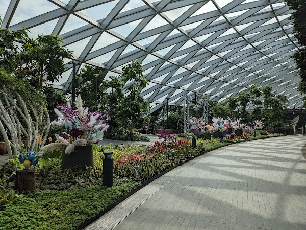 Canopy Park - Jewel Changi 5