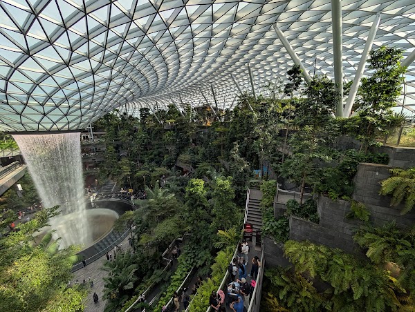 Canopy Park - Jewel Changi 4