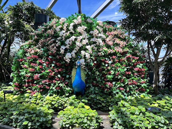 Canopy Park - Jewel Changi 3
