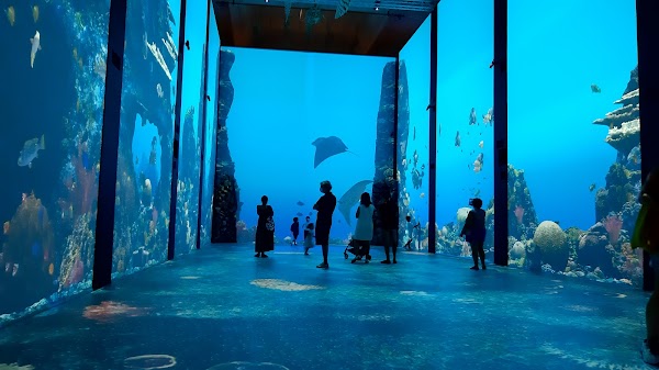 Musée océanographique de Monaco 4