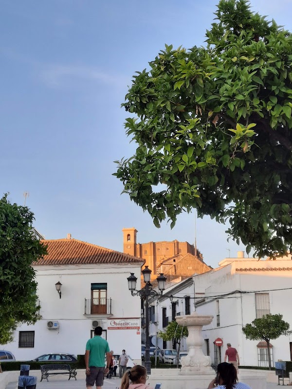Plaza del Duque 5