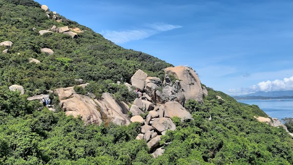 Devil's Paw / Devil's Claw 1