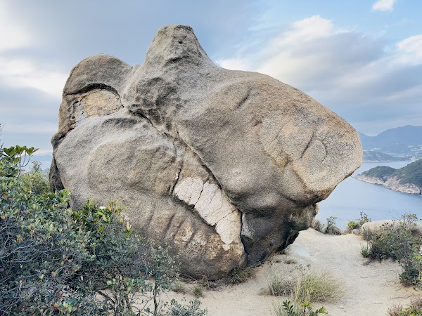 Devil's Paw / Devil's Claw 4