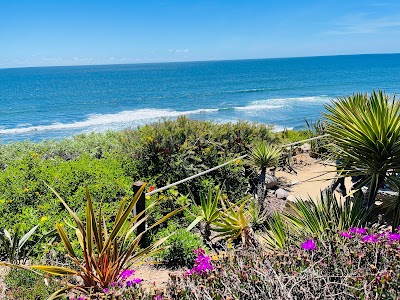 USA West Coast 2026 36