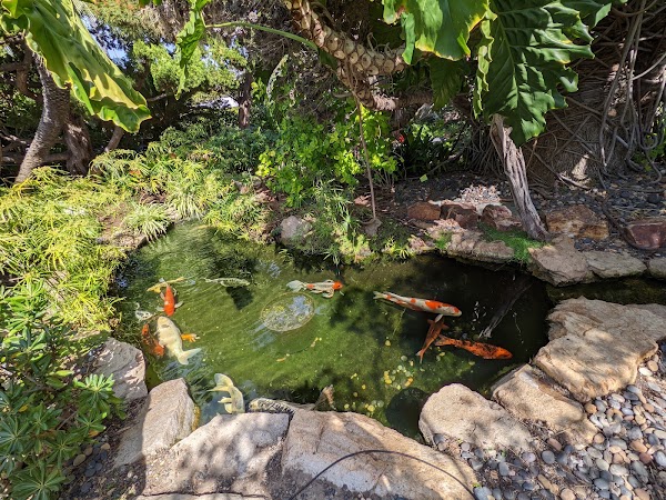 Self-Realization Fellowship Meditation Gardens 3