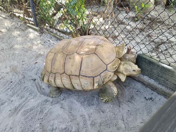 Sawgrass Recreation Park 2