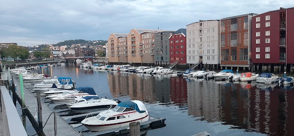 Trondheim 5