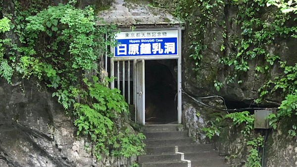 Nippara Limestone Caves 1
