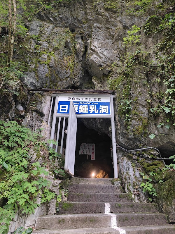 Nippara Limestone Caves 2