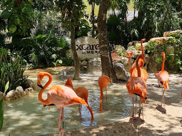 Xcaret Park 3