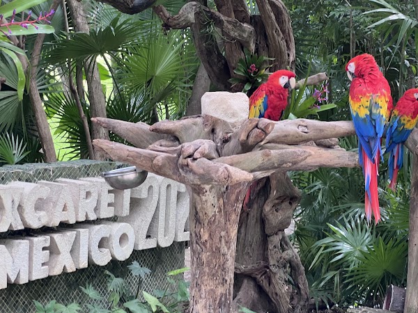 Xcaret Park 2