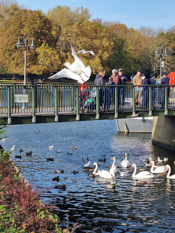 Kingston upon Thames 2