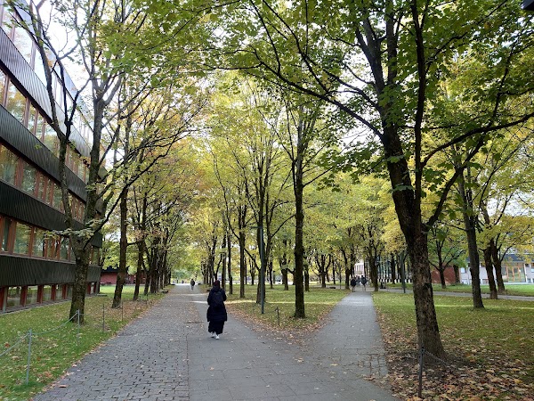 University of Oslo 5