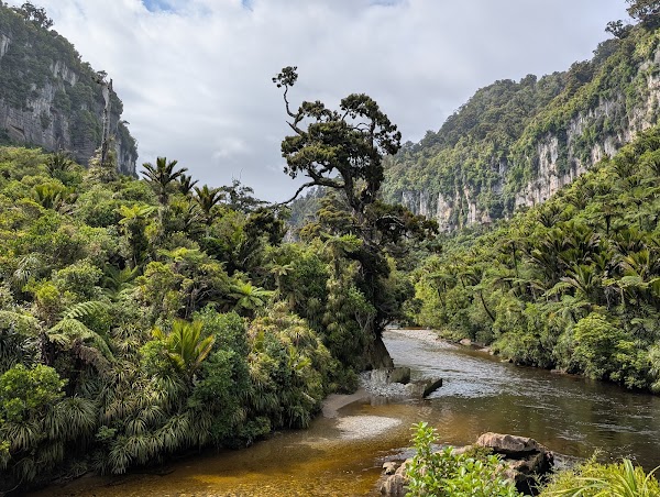 Paparoa National Park 5