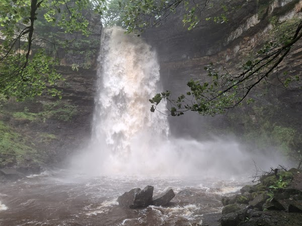 Hardraw Force 1