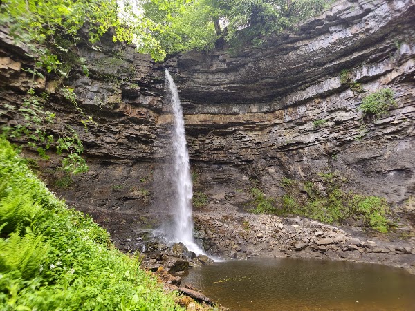 Hardraw Force 5