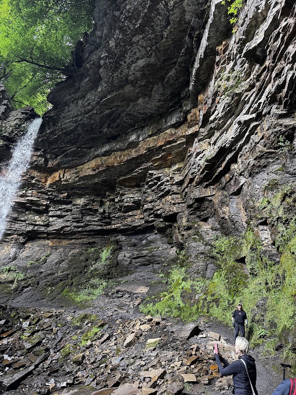 Hardraw Force 4