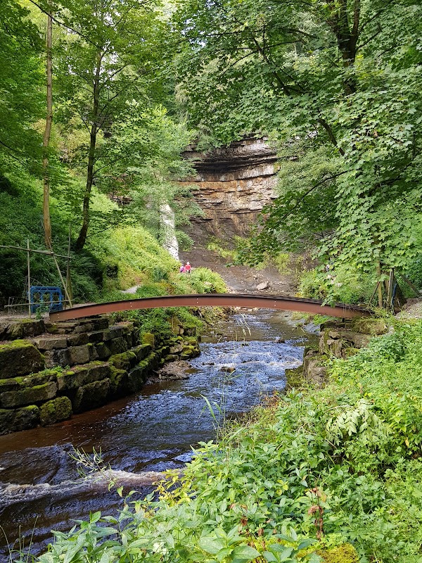 Hardraw Force 3