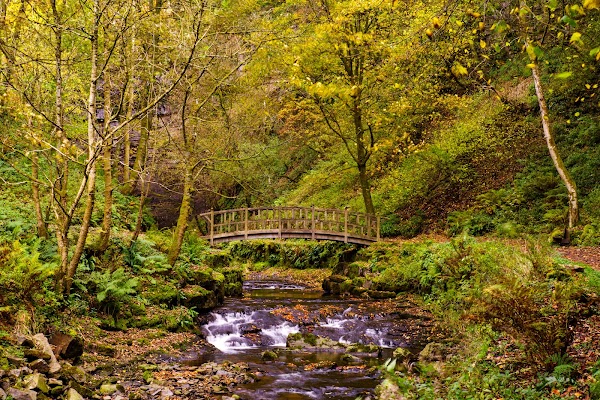 Hardraw Force 2