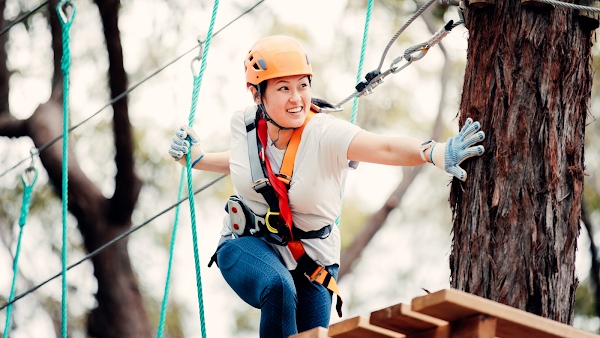 Treetops Adventure Belgrave