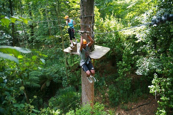 Treetops Adventure Belgrave 2