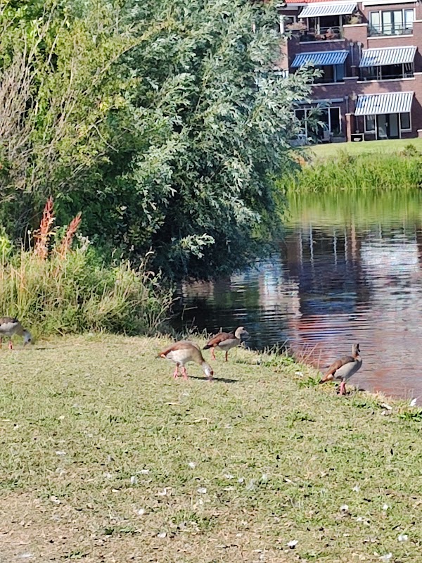 Westbroekpark 2