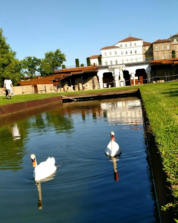 Venaria