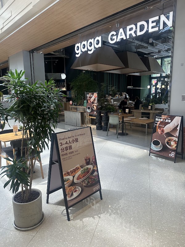 Gaga Cafe 3