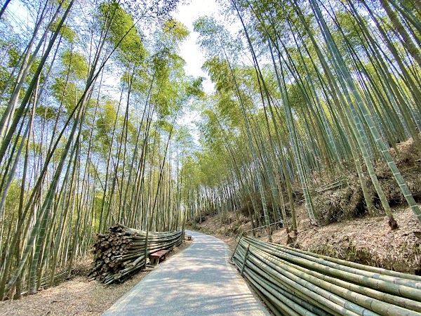 Green Tunnel