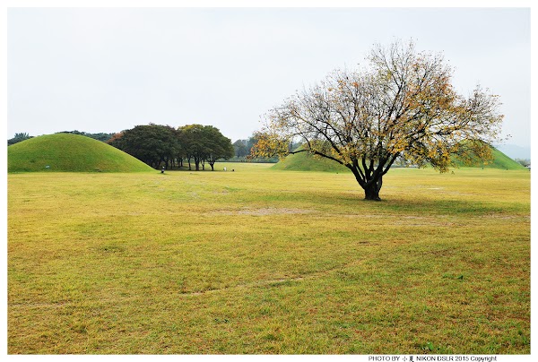 Gyerim Forest 4