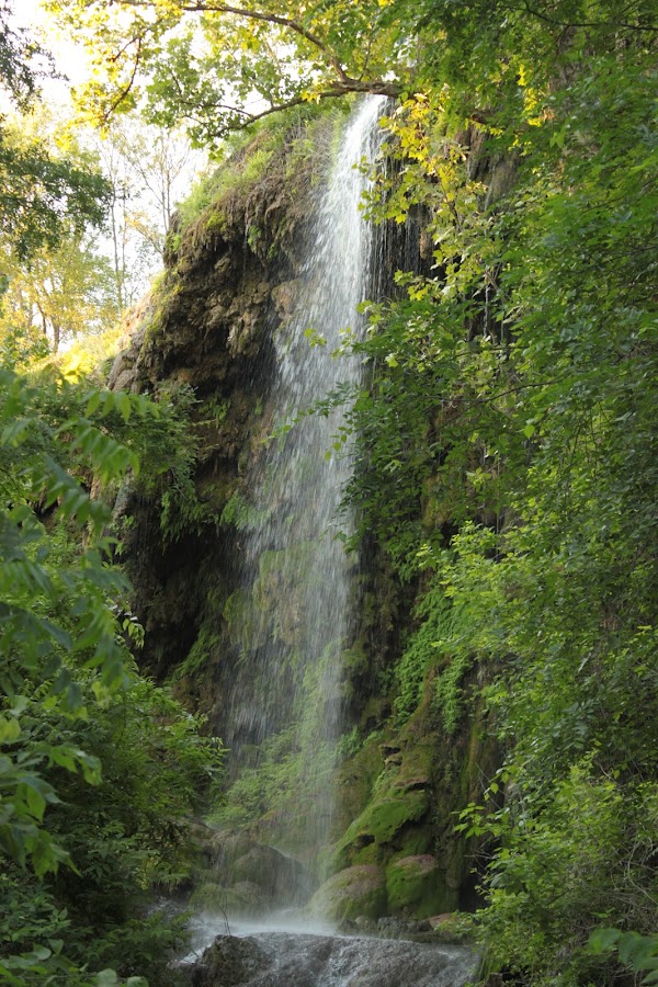 Gorman Falls 1