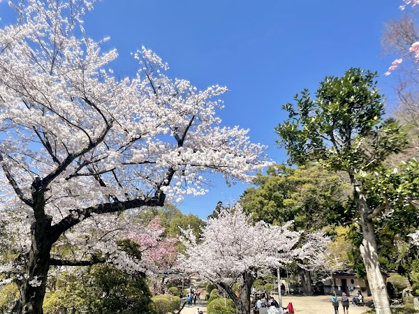 Satsukiyama Park 1