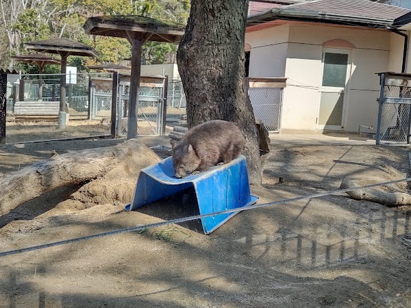 Satsukiyama Park 2