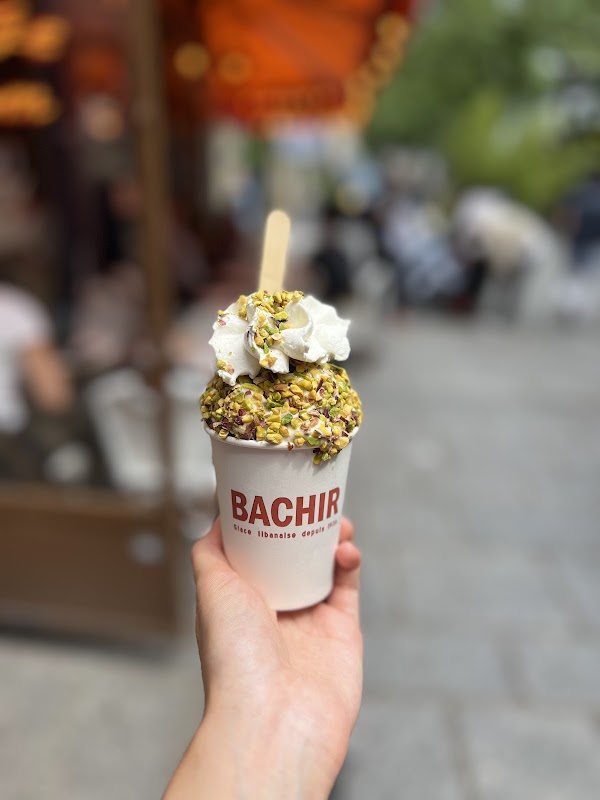 Glace Bachir 5