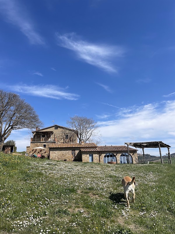 Azienda Agricola Casagori Ristorante 5