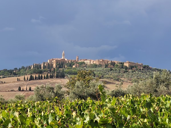 Azienda Agricola Casagori Ristorante 3