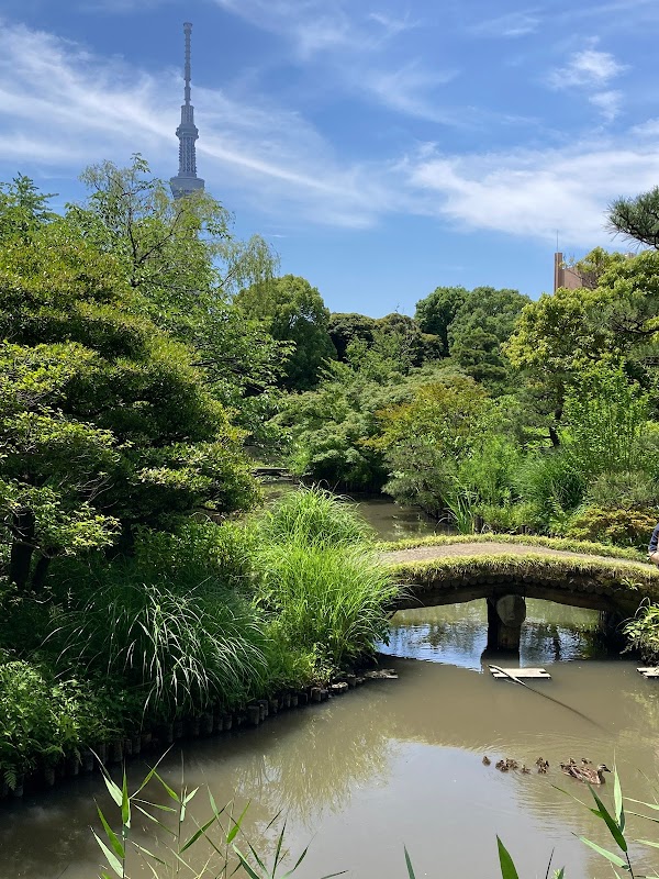 Japan 65