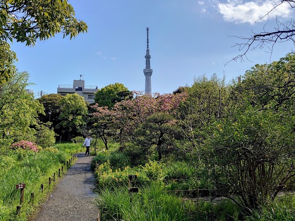 Mukojima-Hyakkaen Gardens 5