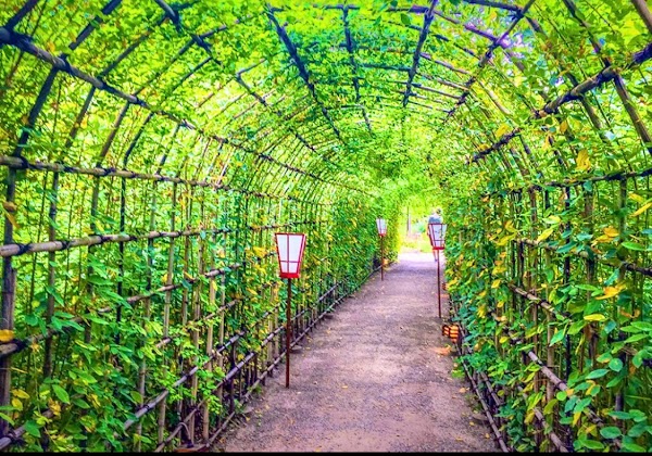Mukojima-Hyakkaen Gardens 2