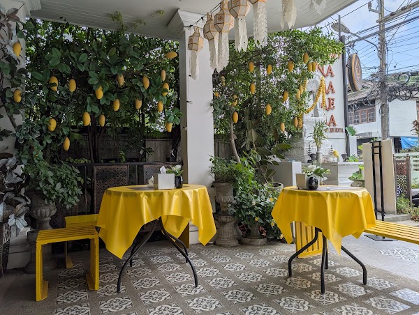 Coco Mango The Garden 1